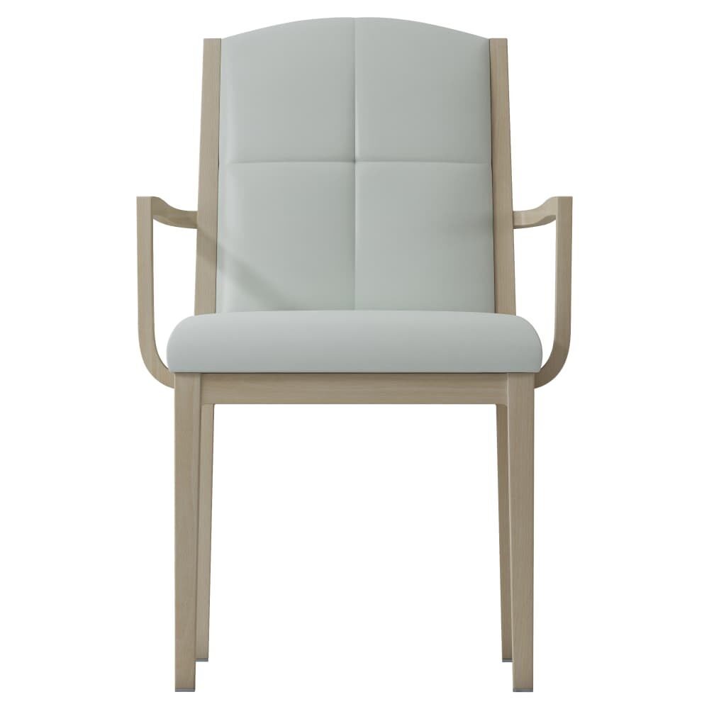 Rivera Padded Armchair in Aluminum