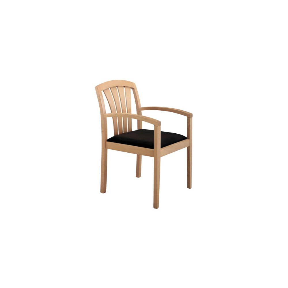 Fan-Back Armchair in Wood