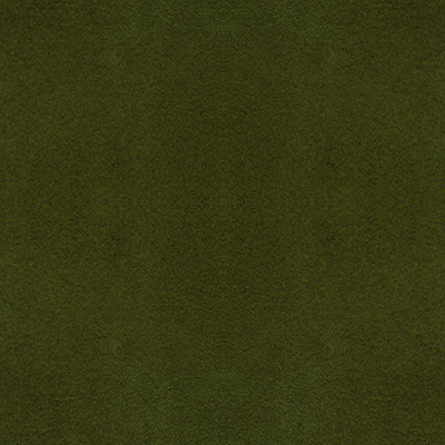 T05 moss green finish reference