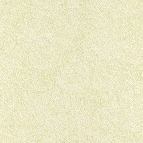 T11 white ii finish reference