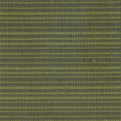 Terrace fern sample