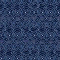 Jewel navy sample