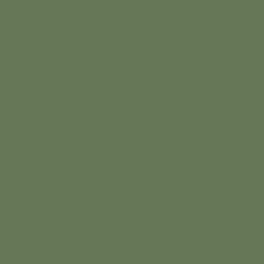 Olive green sample