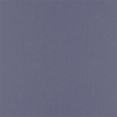 T31 copenhagen sample
