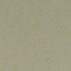 T11 white ii sample