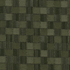 5-empire fern sample