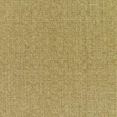 Linen sesame sample