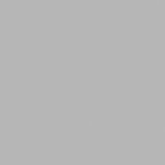 D503 cement sample
