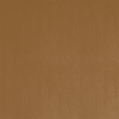 T11 camel sample