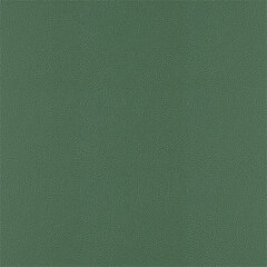 T75 emerald sample