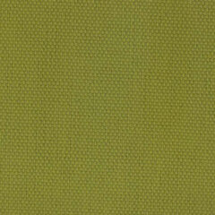 Kiwi sample