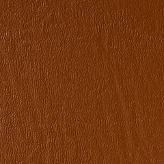 Spanish oak sample