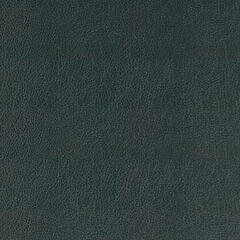 T04 teal sample