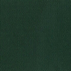 Hunter green sample