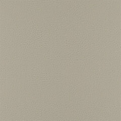 T38 silver sample