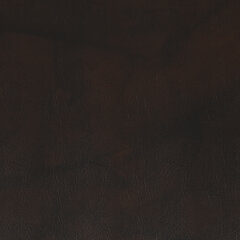 Cisco char brown sample