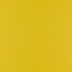 T27 yellow sample